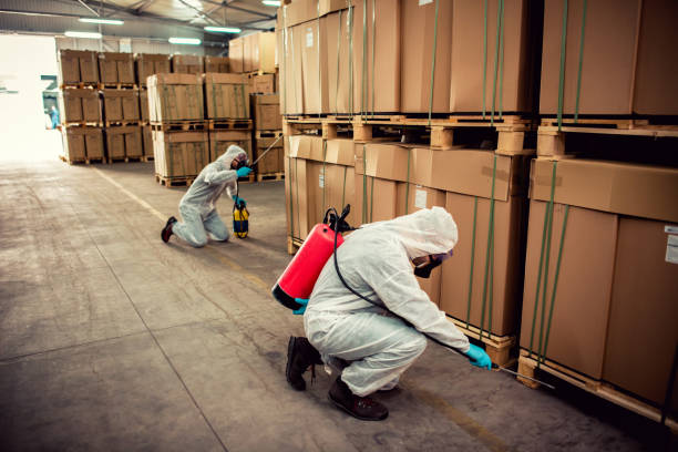 Best Pest Control Near Me in Waldo, FL