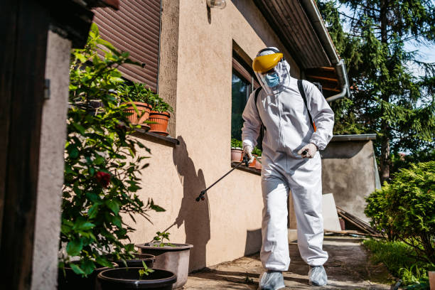 Best Rat Extermination Near Me  in Waldo, FL