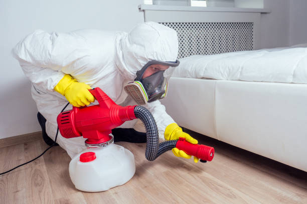Best Insect Control  in Waldo, FL