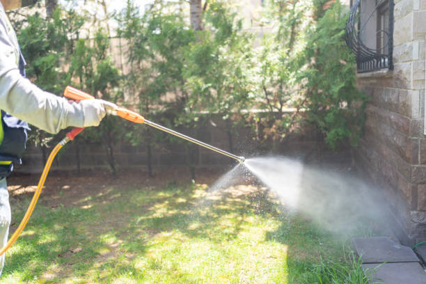 Best Affordable Pest Control Services  in Waldo, FL