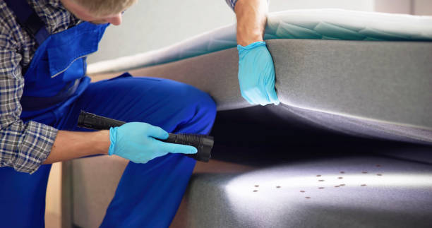 Best Termite Control Services  in Waldo, FL