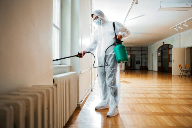 Best Flea Control Services  in Waldo, FL